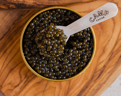 Mother of Pearl Spoon